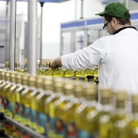 Nachhaltige Ausstattung: Ein strategischer Hebel für die Lebensmittelindustrie von morgen