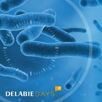 Wie man Bakterienwachstum begrenzt und  Verbrühungsrisiken vermeidet?